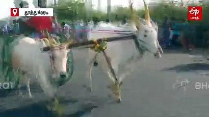 தூத்துக்குடியில் மாபெரும் மாட்டு வண்டி பந்தயம்! சீறிப்பாய்ந்த காளைகளை ஆர்வமுடன் பார்த்து ரசித்த பொதுமக்கள்!