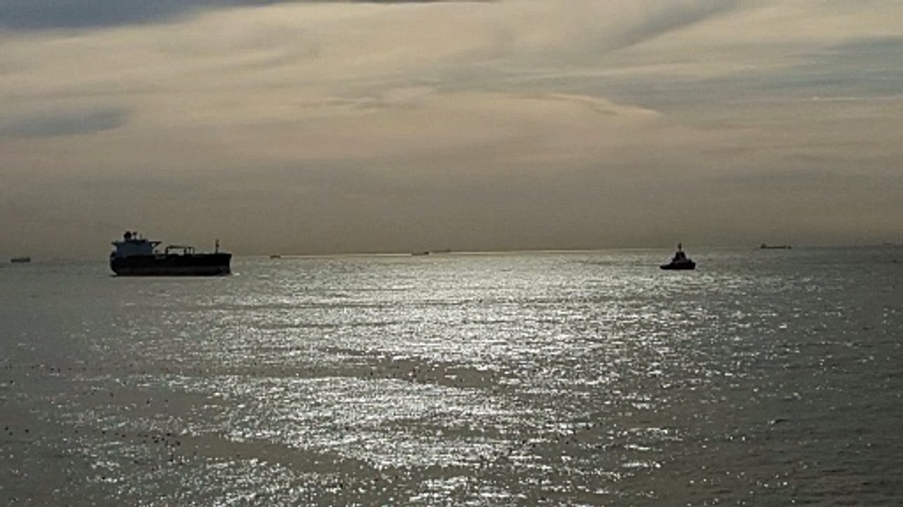 Türk Sanat Müziği - İnleyen Nağmeler