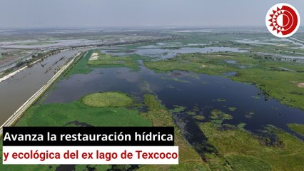Avanza la restauración hídrica y ecológica del ex lago de Texcoco