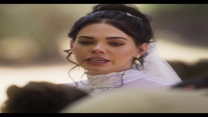 Amanecer Capítulo 1 🌅