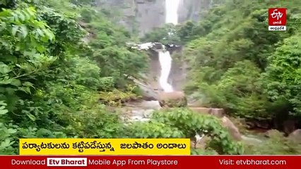 ఎత్తైన కొండల మధ్య  పాలనురగల పరవళ్లు - వెలుగులోకి మరో జలపాతం