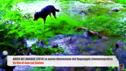ADIEU AU LANGAGE (2014) DI  JEAN-LUC GODARD – La nuova dimensione del linguaggio cinematografico