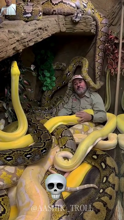 Zaind Snake 💀