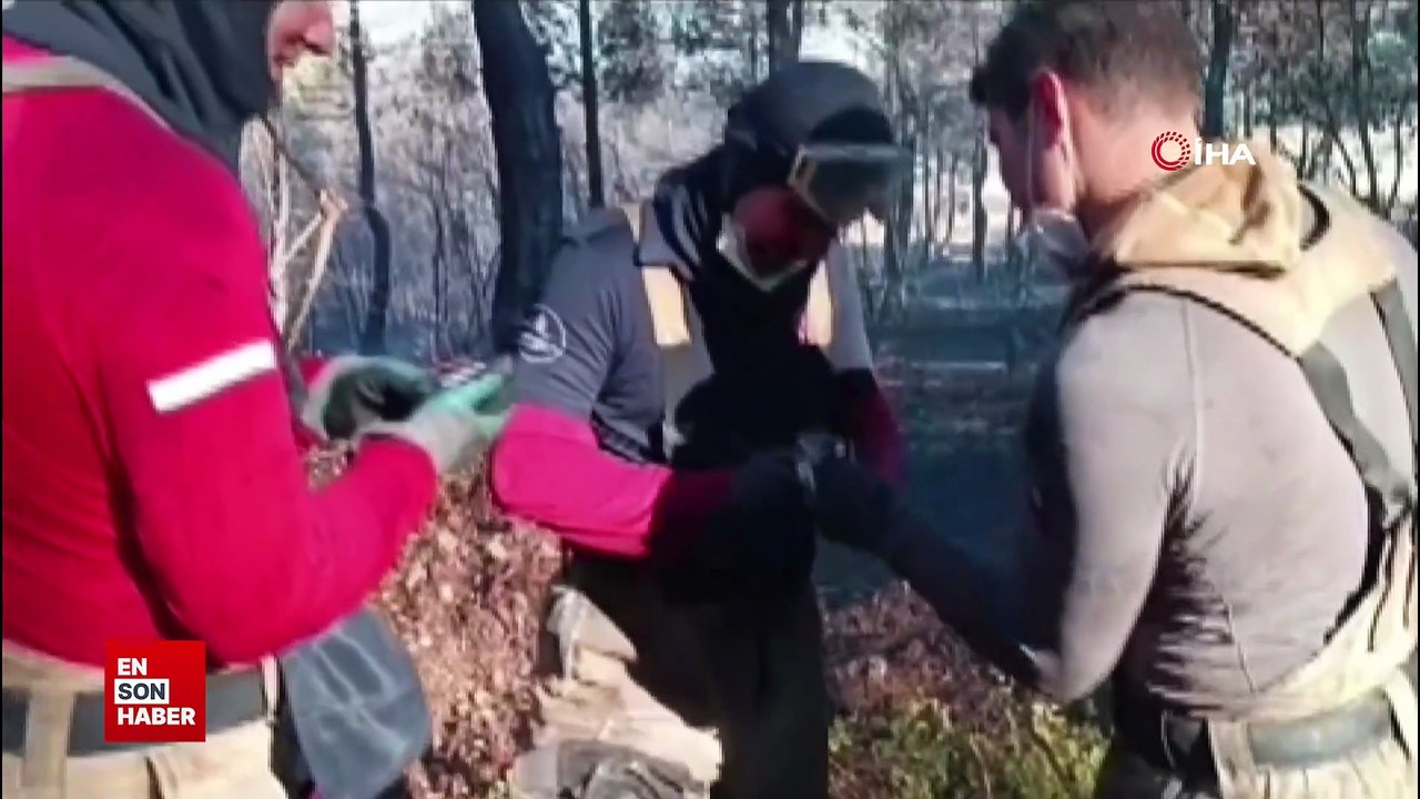 İzmir yangınında itfaiyeciler balığı kurtardı
