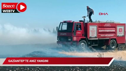 Gaziantep’te anız yangını