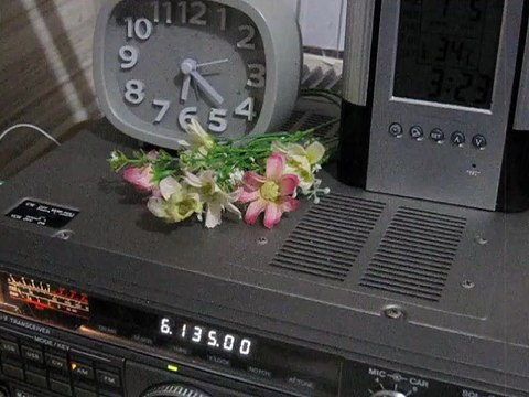 radio santa-cruz 6135 kHz 5th July 2025 03:23 JST