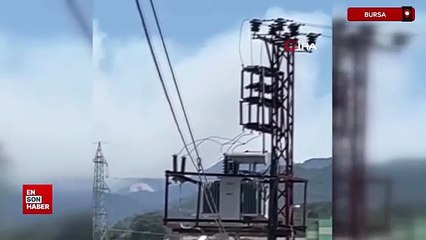 Bursa'da orman yangınına sebep olan 9 kişi gözaltına alındı, bir kişi tutuklandı