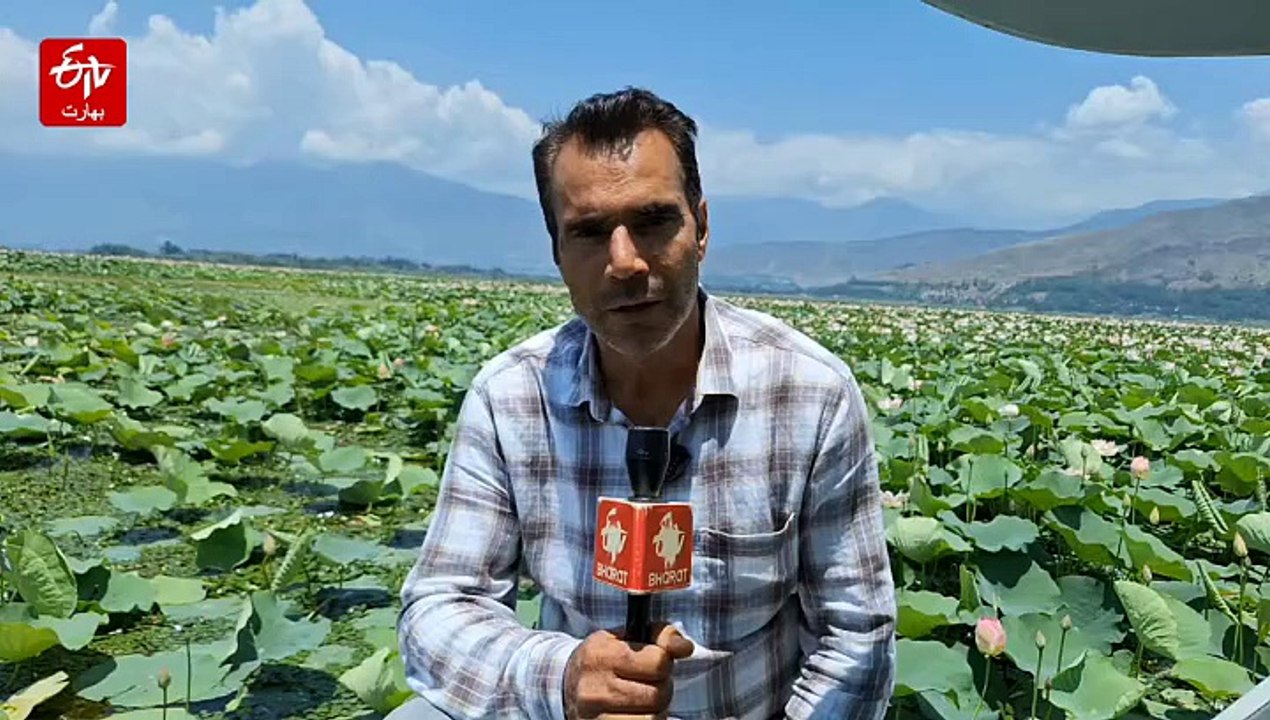 ولر جھیل میں دہائیوں بعد ’ندرو‘ کی واپسی، کشمیر کے روایتی ذائقے کو نئی سانس