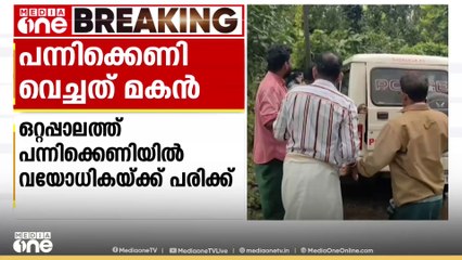 പാലക്കാട്‌ ഒറ്റപ്പാലത്ത് പന്നിക്കെണിയിൽപ്പെട്ട് വയോധികക്ക് പരിക്കേറ്റ സംഭവത്തിൽ മകൻ അറസ്റ്റിൽ