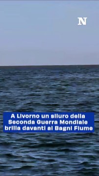 Ritrovato e Detonato un Siluro della Seconda Guerra Mondiale al Largo di Livorno