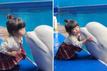 Video dolcissimo: una bambina e una beluga si scambiano coccole sul bordo della vasca