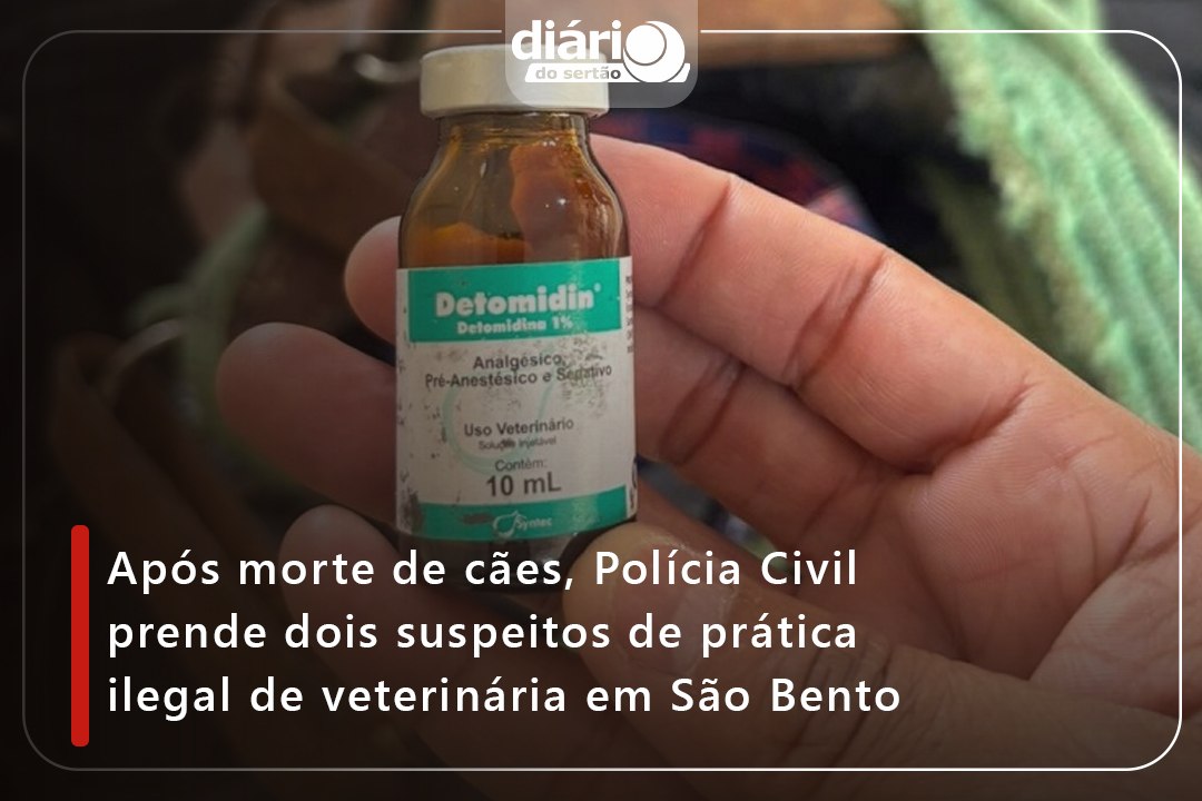 Após morte de cães, Polícia Civil prende dois suspeitos de prática ilegal de veterinária em São Bento