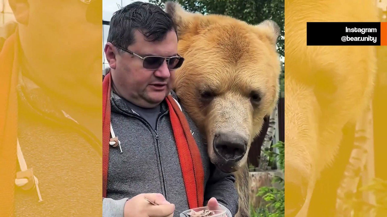 Suloinen video näyttää jättikarhun ruokittavan kuin ihmisvauva