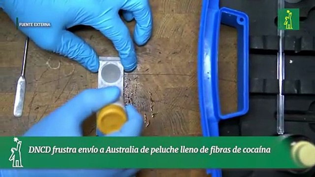 DNCD frustra envío a Australia de peluche lleno de fibras de cocaína