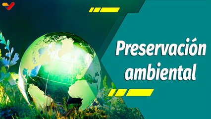 Punto Verde | El cuidado ambiental: Obligación ética y moral