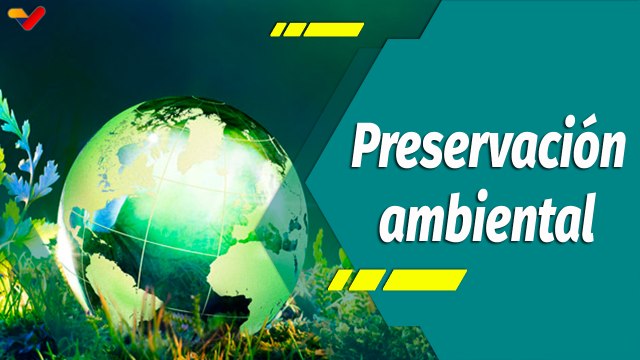 Punto Verde | El cuidado ambiental: Obligación ética y moral