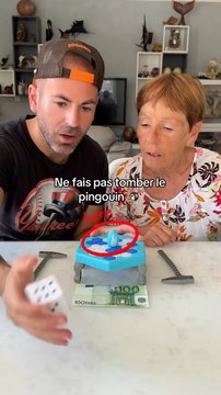 sale temps pour les pingouins avec cette chaleur 😂