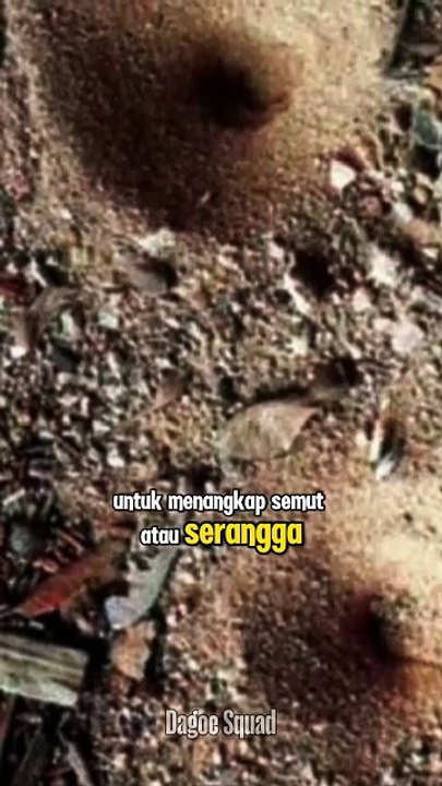 FAKTA UNIK UNDUR-UNDUR