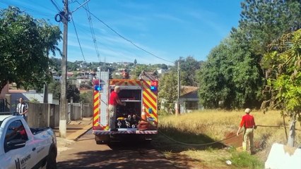 Bombeiros são mobilizados para combaterem incêndio em área de mata no Bairro Periolo