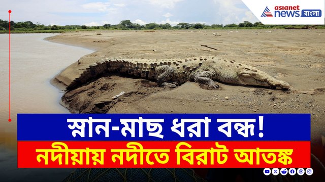 শুশুক খেয়ে নদীতে তাণ্ডব! কুমিরের আতঙ্কে গোটা এলাকা
