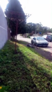 Homem é espancado até a morte ao xingar mãe de conhecido na Grande Curitiba; vídeo mostra crime