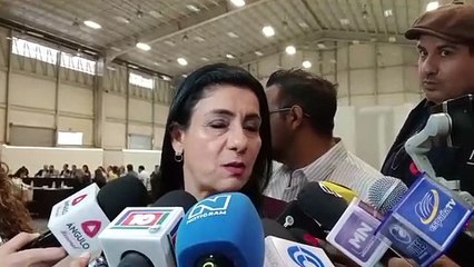 Alicia Dahlel Domínguez Seade, presidenta de AMPI en Durango