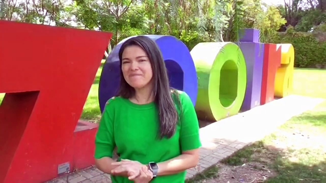 ¡No te pierdas la gran experiencia de los recorridos VIP en el ZooIra!