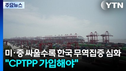 미·중 싸울수록 한국 무역집중 심화..."CPTPP 가입해야" / YTN