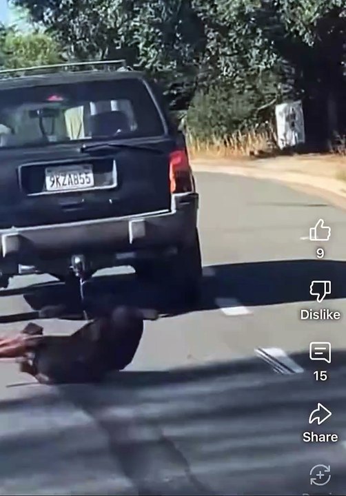 Hombre en San Diego arrastra a su perro por carretera