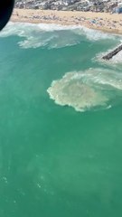 Realizan más de 350 rescates en playas de California durante el 4 de julio