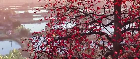 🔥| 🎬Hùng Sư Thiếu Niên ( Lan Su Rong) - Vietsub + Thuyết Minh