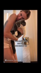 taylormega quando ami i gatti e loro non amano te