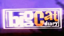 Big Cat Diary S1E6 - Part 1