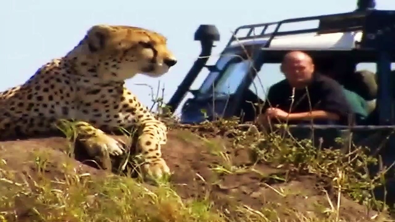 Big Cat Diary S2E1 - Part 1