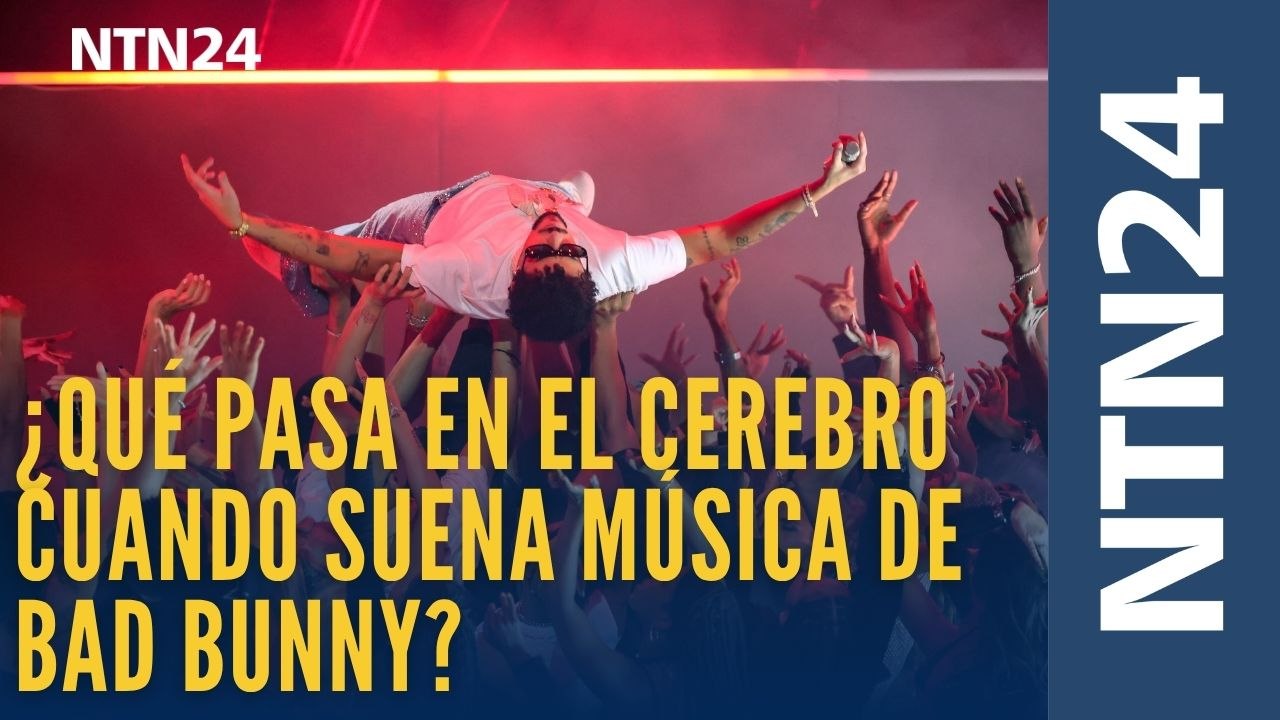 Científica explica cuáles son las sensaciones químicas que se activan en el cerebro cuando se escucha música de Bad Bunny