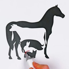 How many animals can you find here🐎