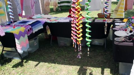 July 5 2025 Petunia Festival Dixon IL Arts Crafts Fishing Derby