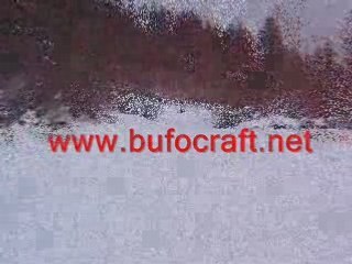 Airboat BUFO Hovercraft | Ultimate ATV sales | hovercrafting