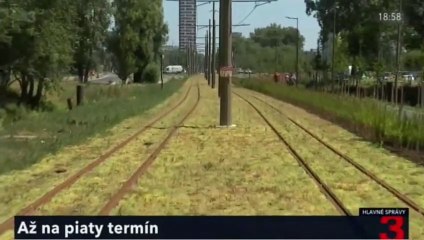 20peelintrat03-1857(spr)