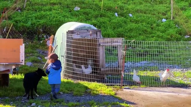 How do people live in Swiss Alpine villages? The last Swiss shepherds