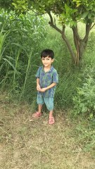 🌿 🏡 Real scenes from rural PakistanIf you love farming, village life, and natural beauty — this video is for you!📍  Punjab, Pakistan🎥 Subscribe for more farm life videos!Goat Grazing & Alfalfa Harvest | Real Village Life in Mianwali