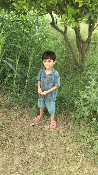 🌿 🏡 Real scenes from rural PakistanIf you love farming, village life, and natural beauty — this video is for you!📍  Punjab, Pakistan🎥 Subscribe for more farm life videos!Goat Grazing & Alfalfa Harvest | Real Village Life in Mianwali