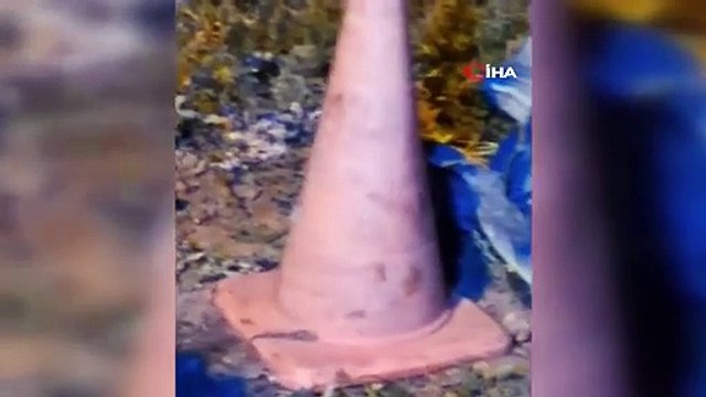 Bayburtlu vatandaşın ürkek tilkiyle imtihanı! O anları cep telefonuyla kayda aldı