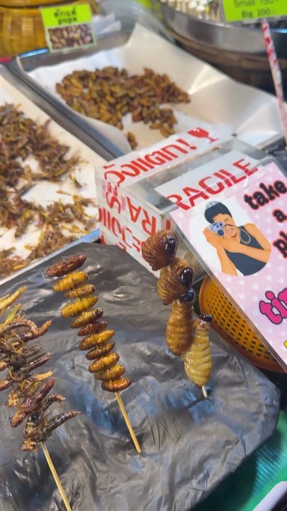 Eating Insects in Thailand 🦂🐛 Street Food Adventure at Koh Samui, night market #kohsamui #thailand