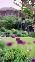 The Richest Man's Daughter