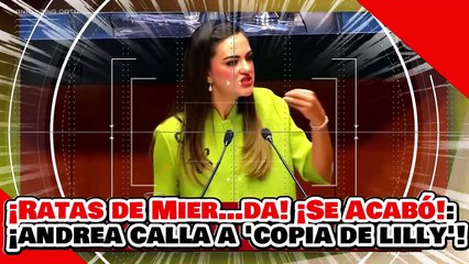 🔥🚨¡RATAS DE MIER…DA! ¡SE ACABÓ el CONEVAL! ¡ANDREA CHÁVEZ DEJA CALLADA a “COPIA de LILLY”!
