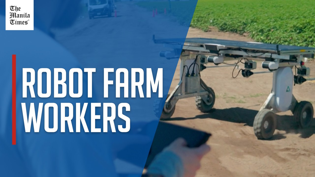 AI robots fill in for weed killers and farm hands