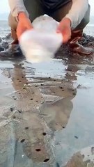 look what happens when you salt this beach