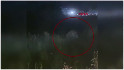 Manavgat'ta firari aslan dehşeti