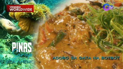 Adobo sa gata na sea anemone, ano kaya ang lasa? | Pinas Sarap